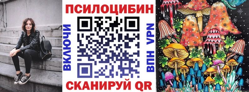 Галлюциногенные грибы Psilocybe  Дедовск 